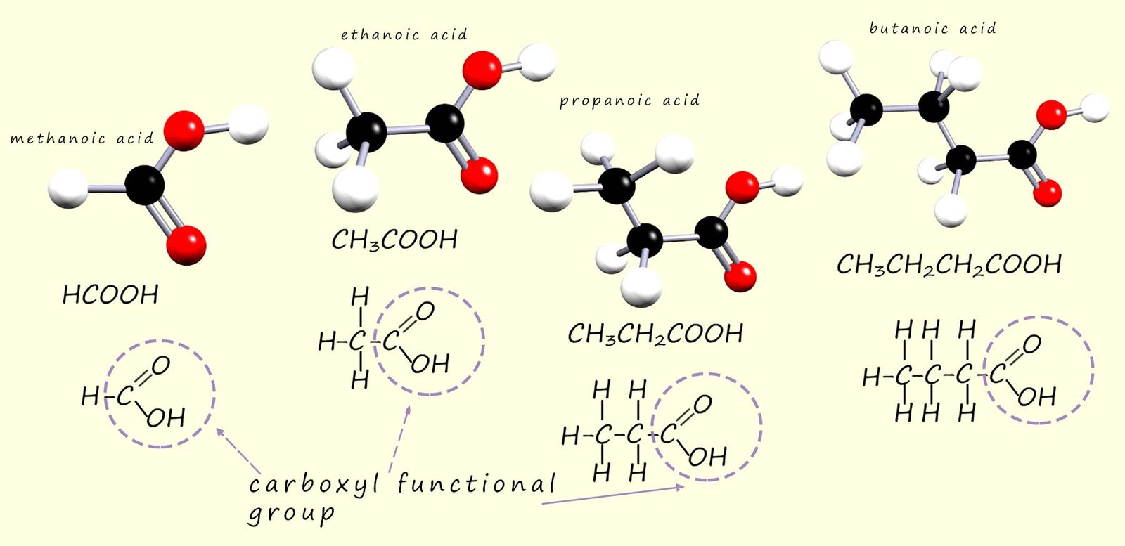 3d models, molecular formula and displayed formula for the first 4 carboxylic acids.